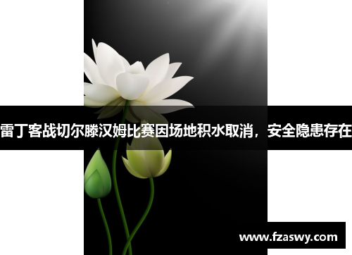 雷丁客战切尔滕汉姆比赛因场地积水取消，安全隐患存在