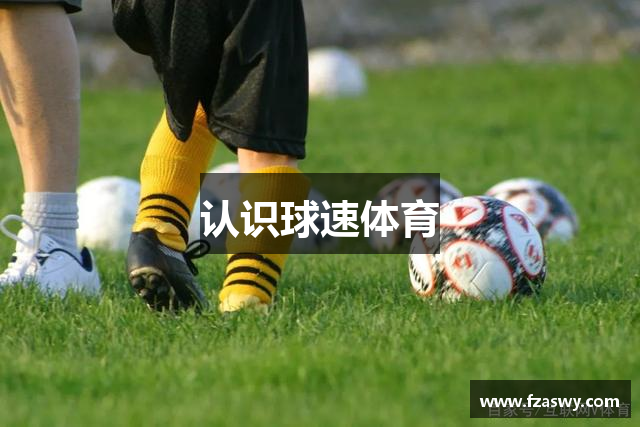 认识球速体育